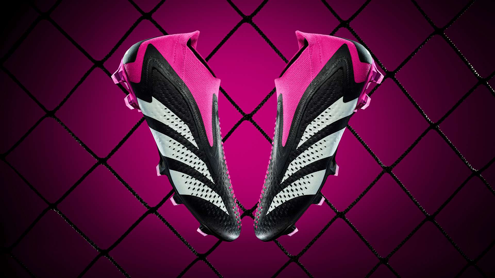 而备受关注 而备受关注