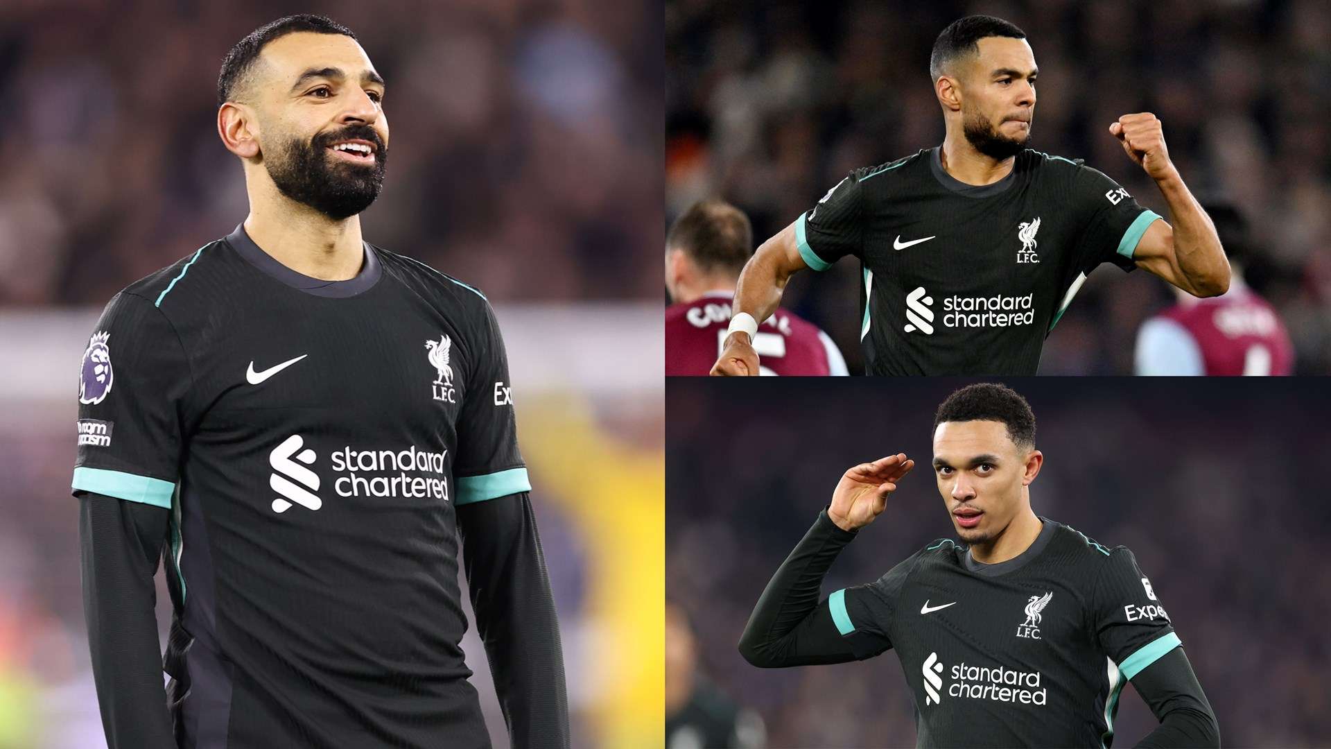 动屡见不鲜 动屡见不鲜